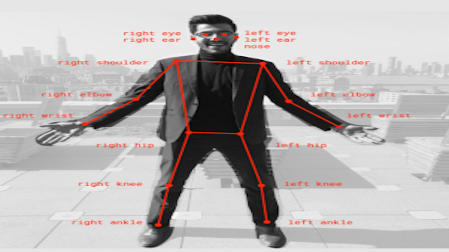 Human Pose Estimation
